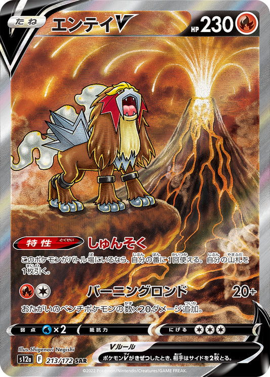 Entei V SAR (s12a-213/172)