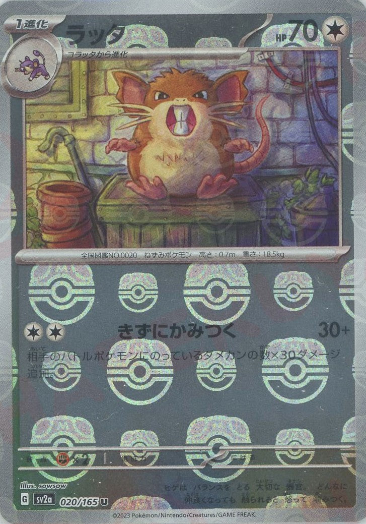 Raticate (sv2a-020/165) Master Ball