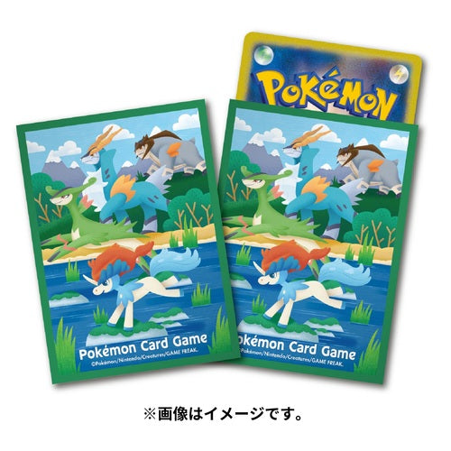 Keldeo Card Sleeve