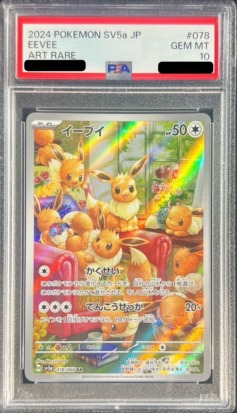 Pokemon Card > PSA10 – mega-enjoy