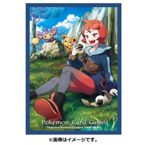 Arezu Hinatsu Card Sleeve